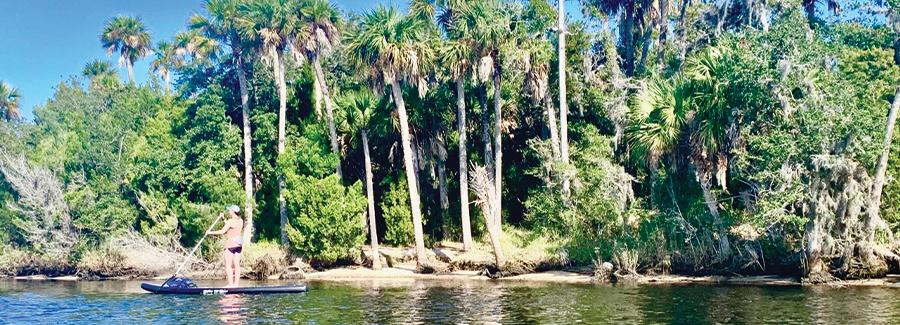Paddleboarding along Tomoka State Park is a peaceful pursuit