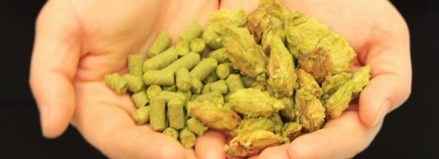 Brewerism Brewery Tours - special Valentine's tours on 16th & 17th February