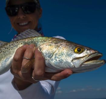 speckled trout south padre island