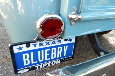 Blueberry License Plate