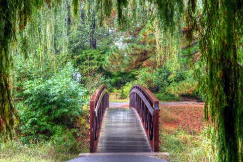 Arboretum bridge