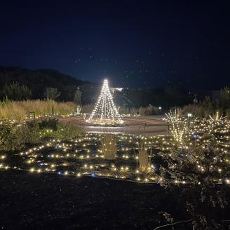 Events in the Outer Banks | Holidays, Live Music & Festivals