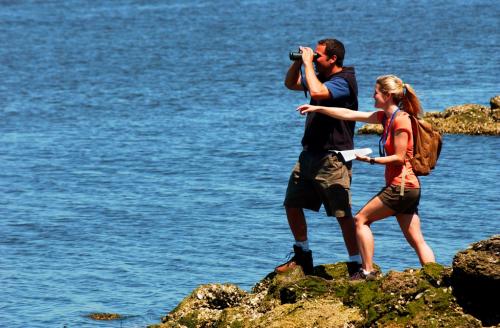 Couple on Birding Trail 2