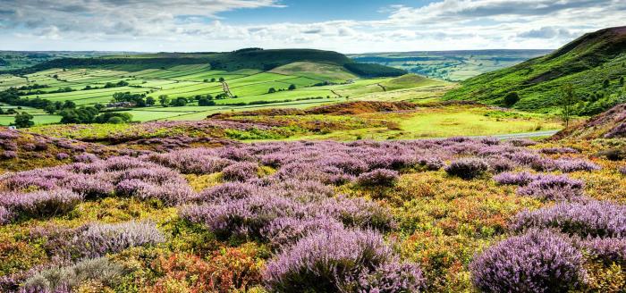 View across the open countryside on the North York Moors