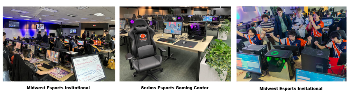 From Fields to Courts: Exploring the Diverse Sports Offerings in DuPage