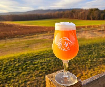 golden beer with a scenic field landscape