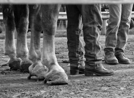 North Salem Old Fashion Days horse pull