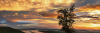 A scenic North Alabama landscape glows in the warm light of late summer. Golden sunlight stretches across gently rolling hills, lush green trees, and open countryside beneath a partly cloudy sky. The soft, amber light creates a peaceful atmosphere, inviting visitors to experience the beauty and tranquility of the region before the seasons change.