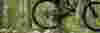 Video Thumbnail - vimeo - SPACVB_WebsiteHeader_Summer