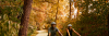 Fall Biking Galloway Creek Greenway