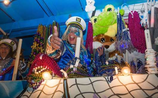mardi gras decorators llc