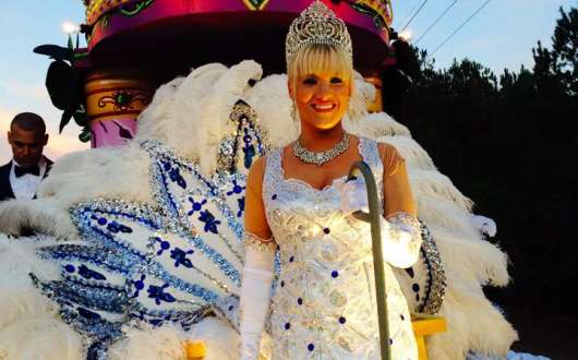 mardi gras decorators llc