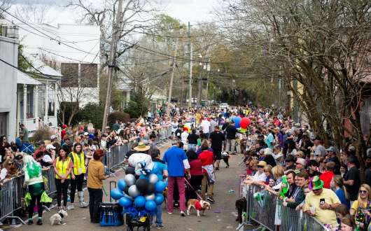 covington mardi gras parade 2025