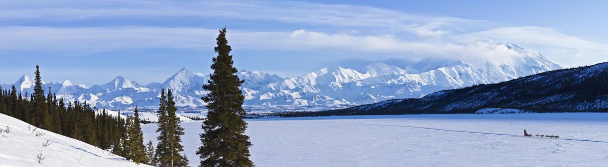 a sledding musher and a team of dogs on a frozen river with Alaska Range mountains covered in snow in the background