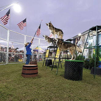 Wolves of the World at the 2025 Indiana State Fair