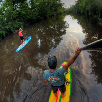 Water Recreation Paddleboarding the Bogue Falaya River with Bayou Paddle Company