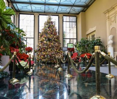 Celebrate the Holidays in Delaware
