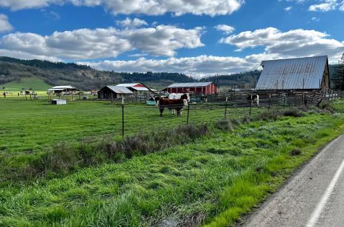 Blog Cycling - Farmland