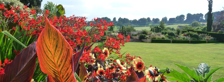 Bourton House Garden