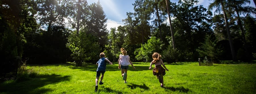 Kids go free offer at Westonbirt Arboretum (photo Johnny Hathaway)