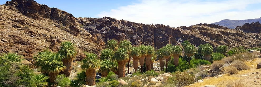 andreas canyon
