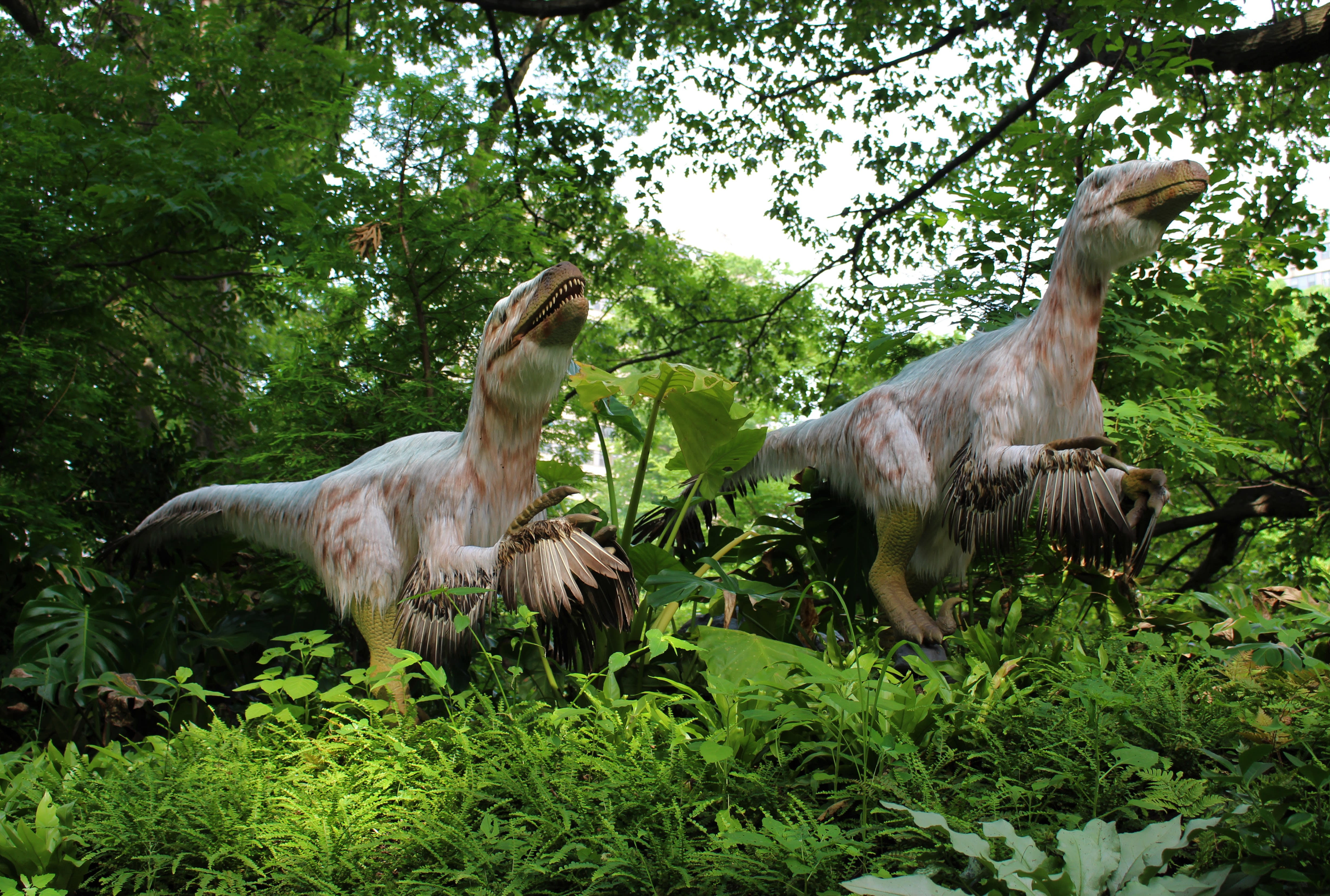 John Ball Zoo Dino Adventure