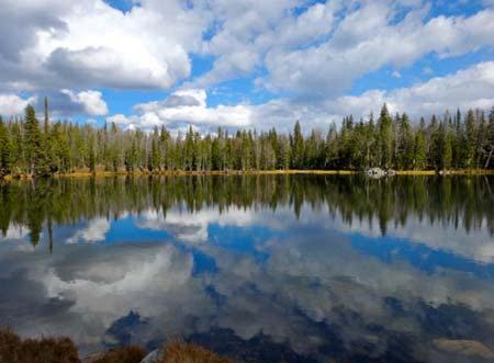 Golden Trout Lakes | Photo: D. Lennon