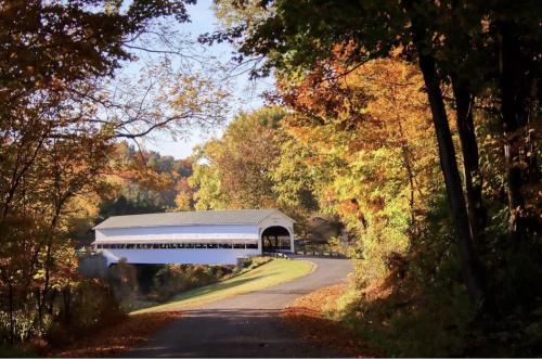 white covered bridge surrounded by fall trees