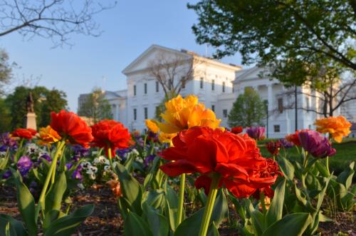 Virginia State Capitol in Spring