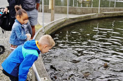 puyallup fish hatchery kids