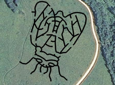 The 2021 McCloud Prairie Maze celebrates the Brood X cicada!