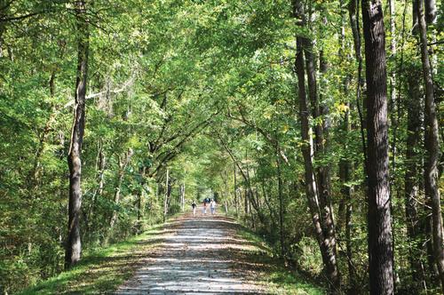 Deep River State Trail - Franklinville Walkers