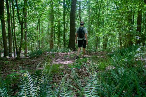 Deep River State Trail