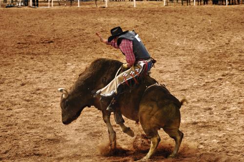 Man Riding a Bull at the Rodeo