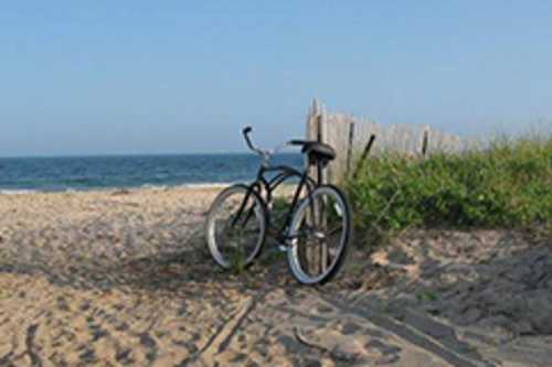 South county bike shop cheap