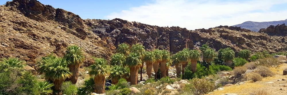 andreas canyon