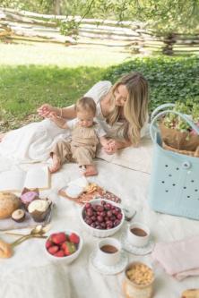 Palace Green at Colonial Williamsburg picnic