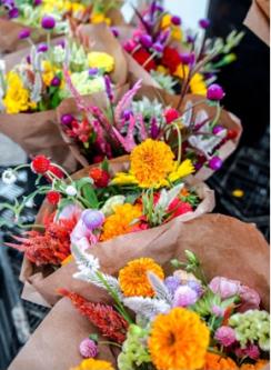 Williamsburg Farmers Market flowers