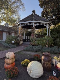 A gazebo decorated with corn stalks and pumpkins located in Lewes, Del.
