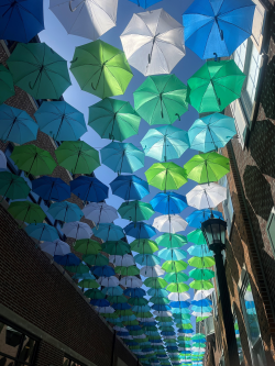 Umbrella Sky Project 3