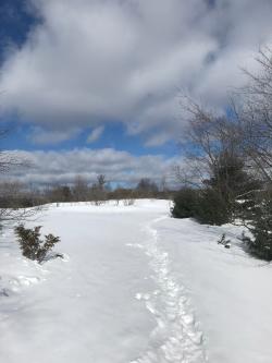 Kettles Trail - Snowshoes Needed