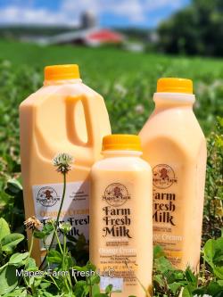Picture of milk from Mapes Farm Fresh