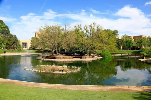 UNM Duck Pond