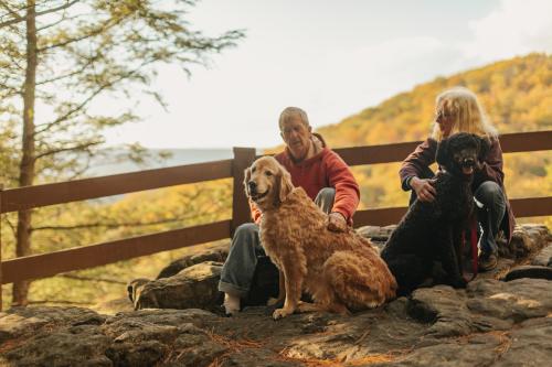 Fall Hiking Adventure with Dogs in Allegany County, Maryland
