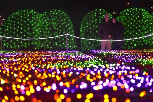 Winter Lights at the Arboretum