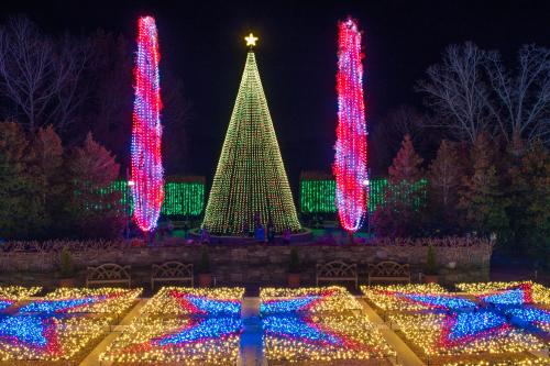 Winter Lights at the NC Arboretum