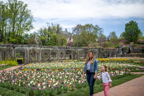 Spring in Asheville