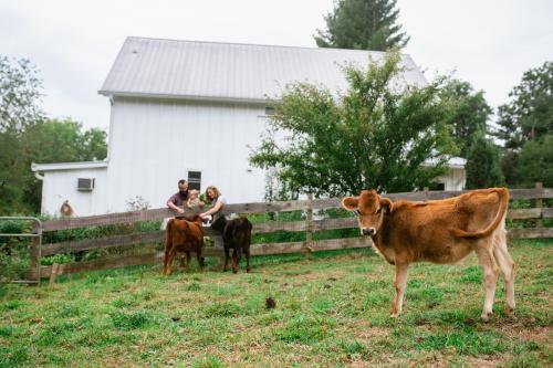 Looking Glass Creamery in Fairview