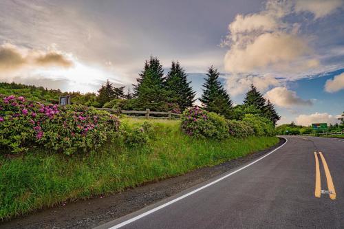 Picture of road at Carvers Gap near Roan Mountain