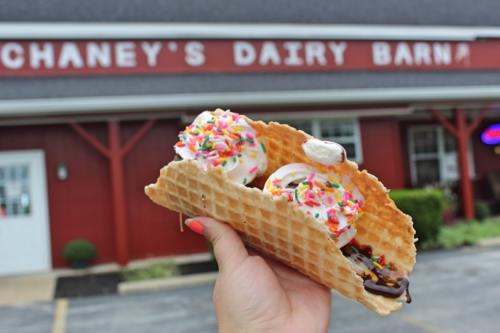 Chaney's Dairy Barn 2 scoops